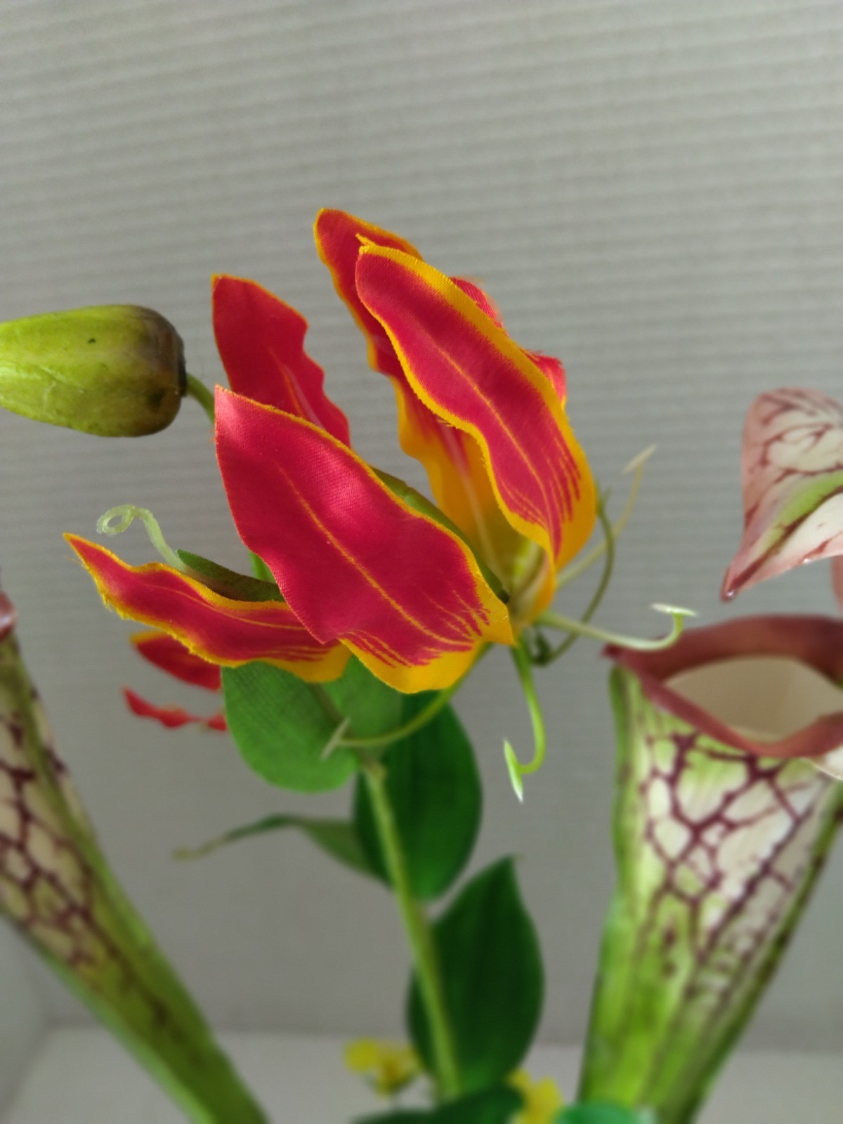 Pitcher plant table Decoration