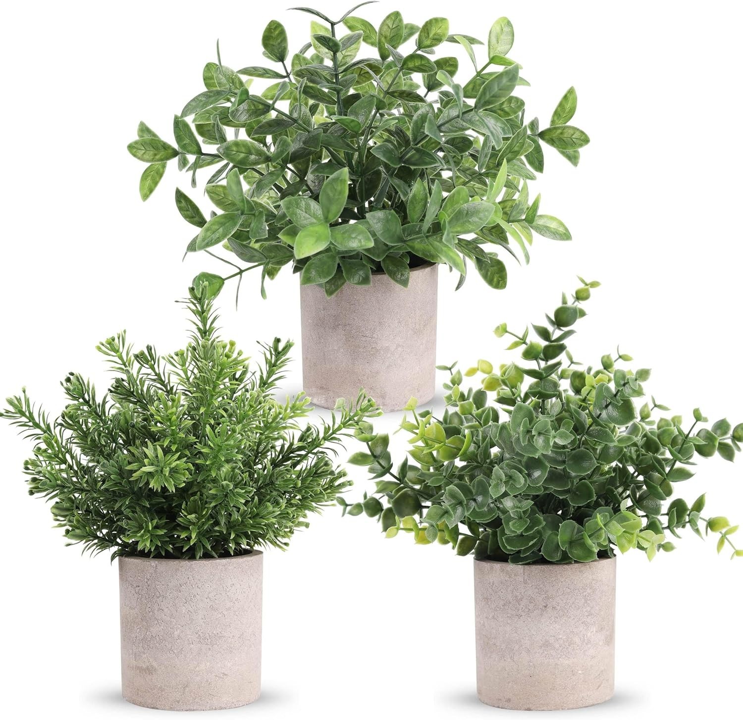 3 Pack Mini Potted Eucalyptus Plants – Lifelike Greenery for Home & Office