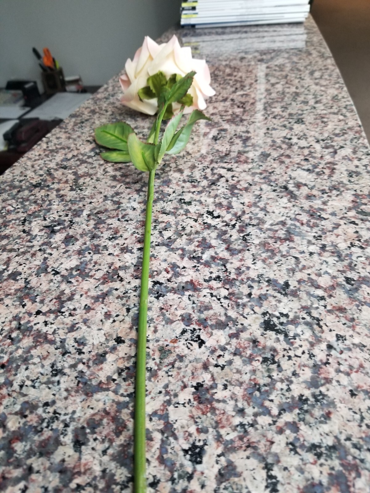 ROSE ARTIFICIAL PINK & WHITE FLOWER, 22″ TALL, CUT AT BOTTOM STEM ((ONE))