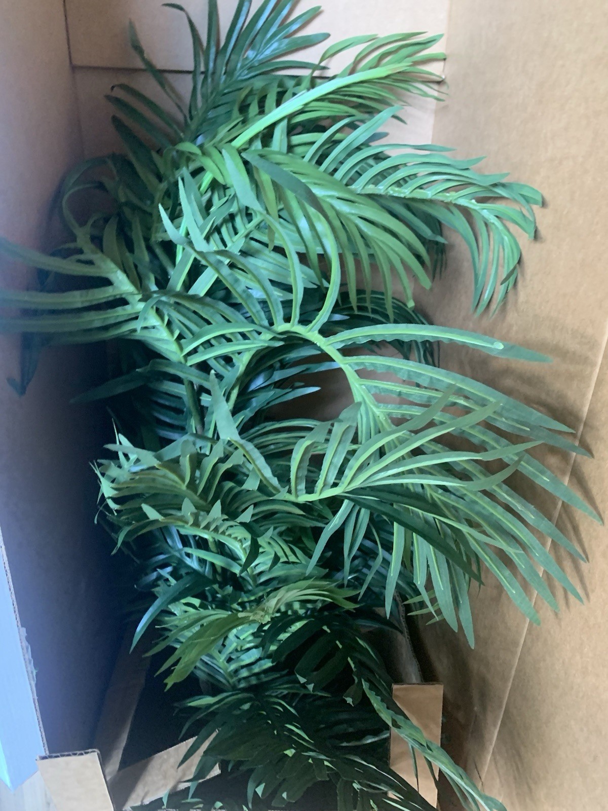 Indoor 4ft, Paradise Palm Artificial Tree in Sand Colored Planter