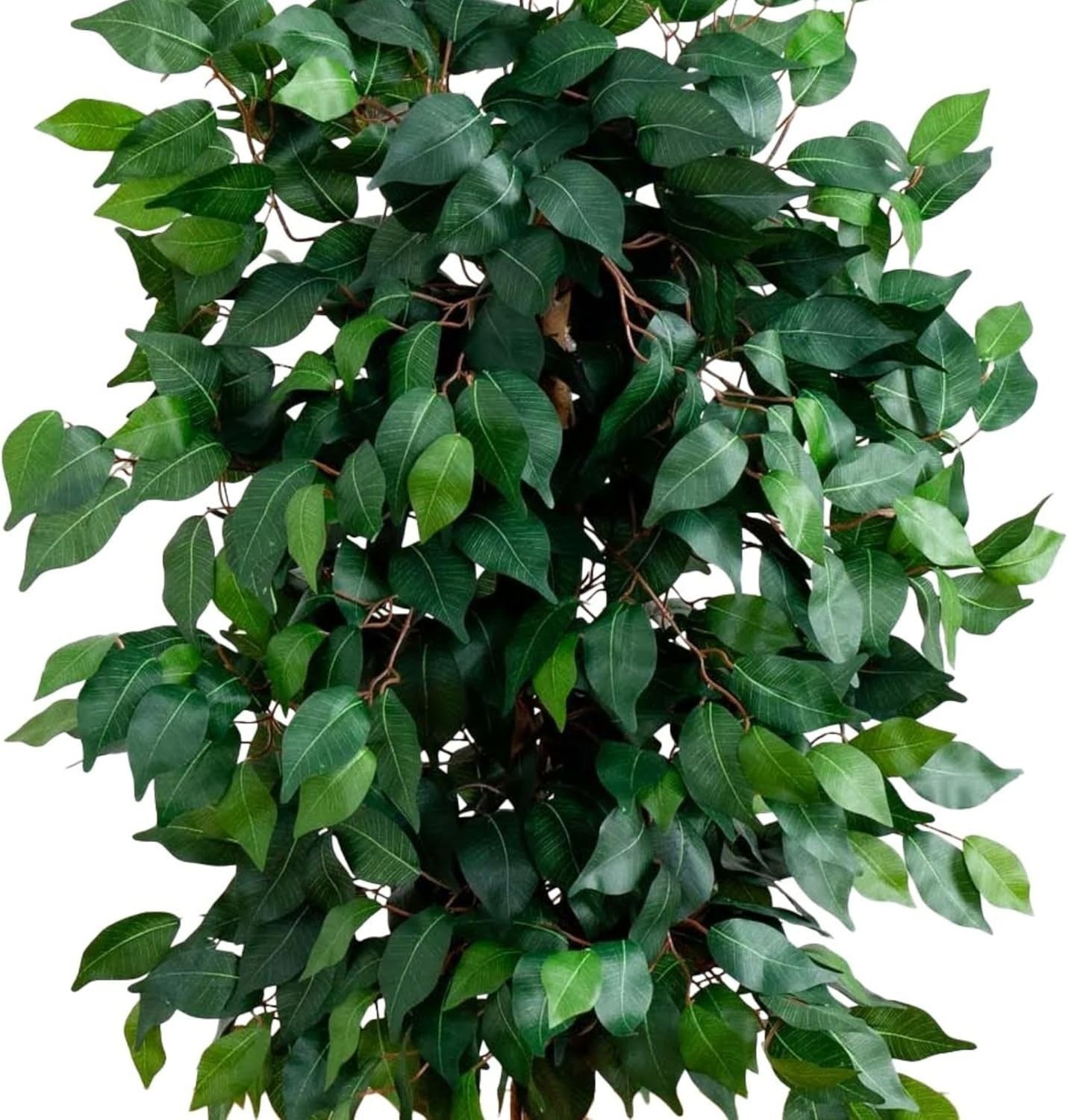 Lifelike 4ft Ficus Silk Tree with Natural Wood Trunks – No Maintenance Needed