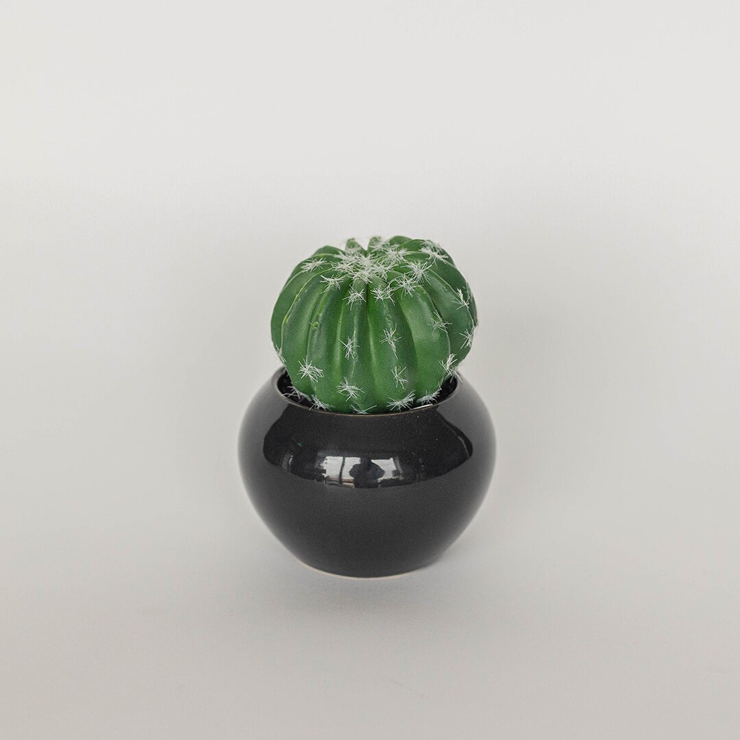Cactus In Ceramic Pot Faux Plants And Trees