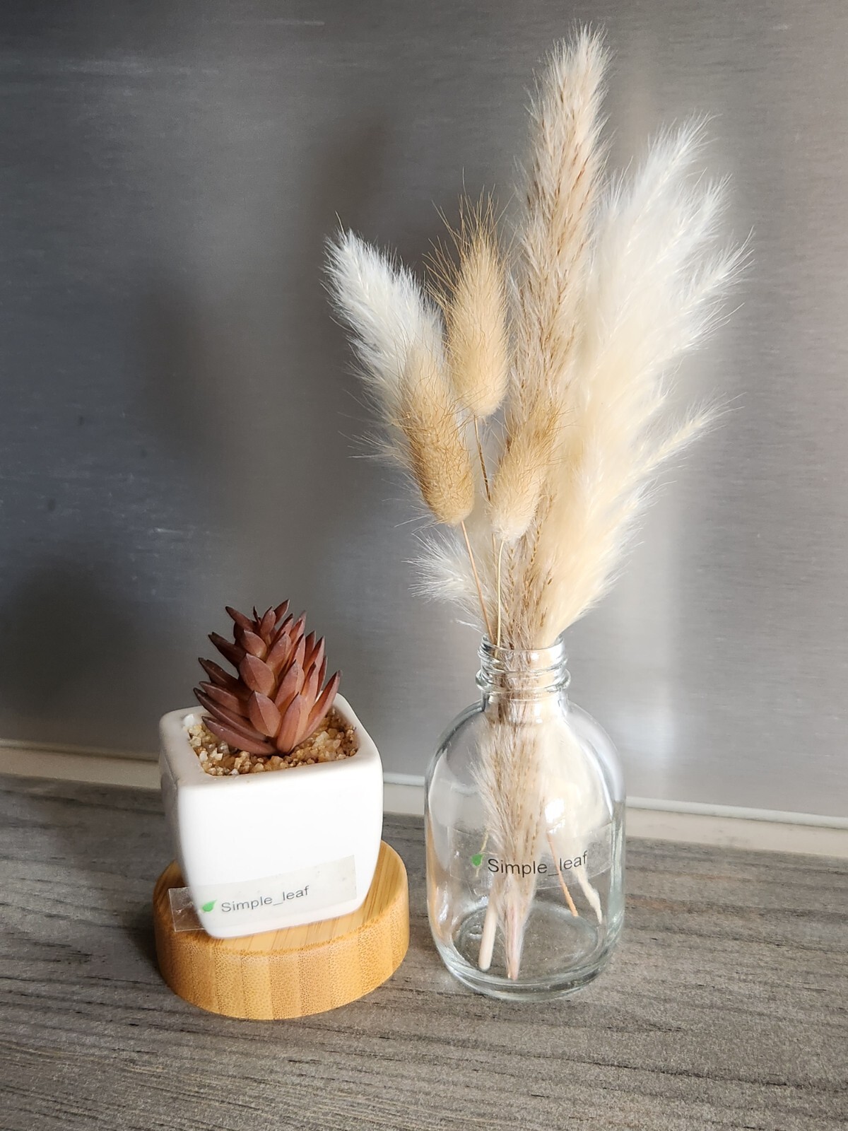 Decor Set – 3 Potted Artificial Succulent, Dried Grass Bouquet in Glass Bottle