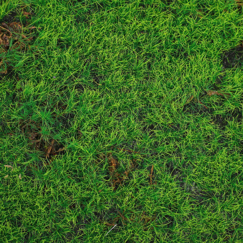 Simulated Moss Lawn Artificial Green Mat Fake Mini Grass Diorama