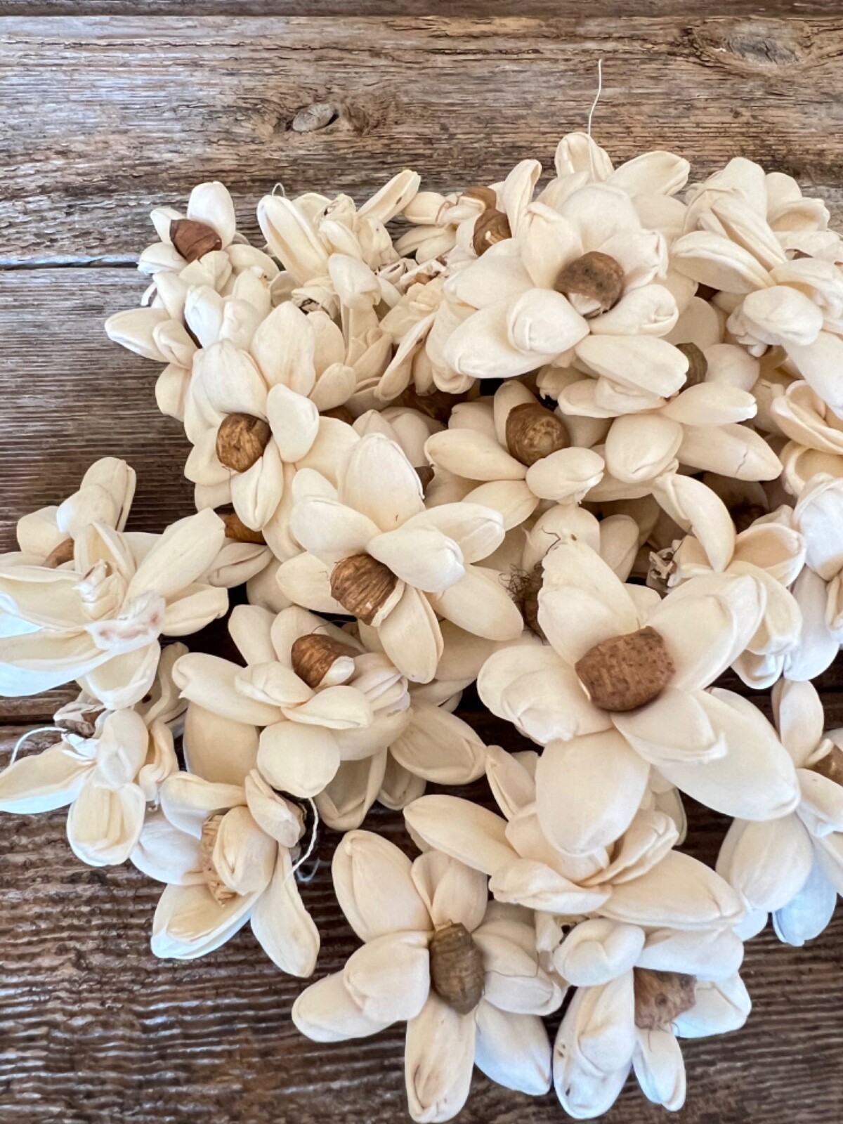 Mini Bark Daisy Sola Wood Flowers – Set of 50 – Craft Flowers