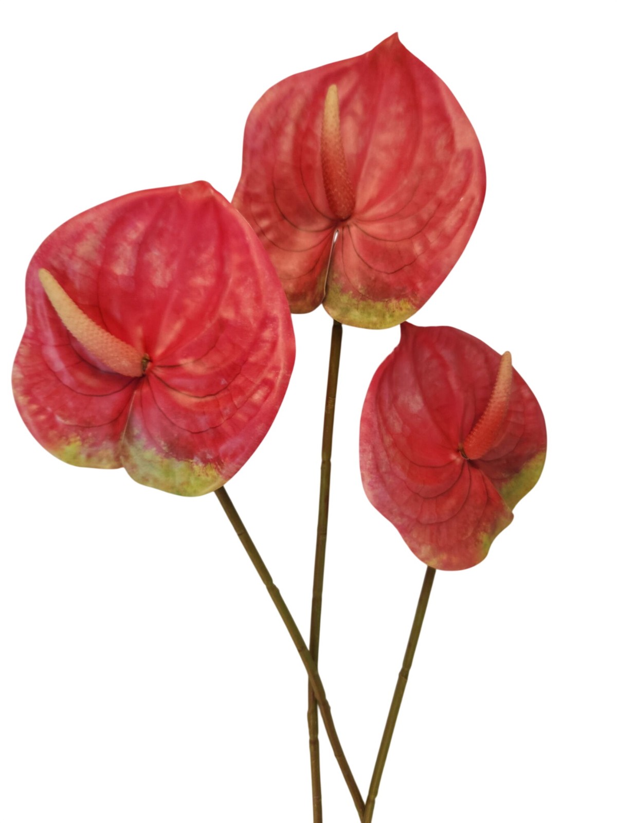 Pink Artificial Anthurium Stems Set of 3, 23 Inch Faux Modern Tropical Decor