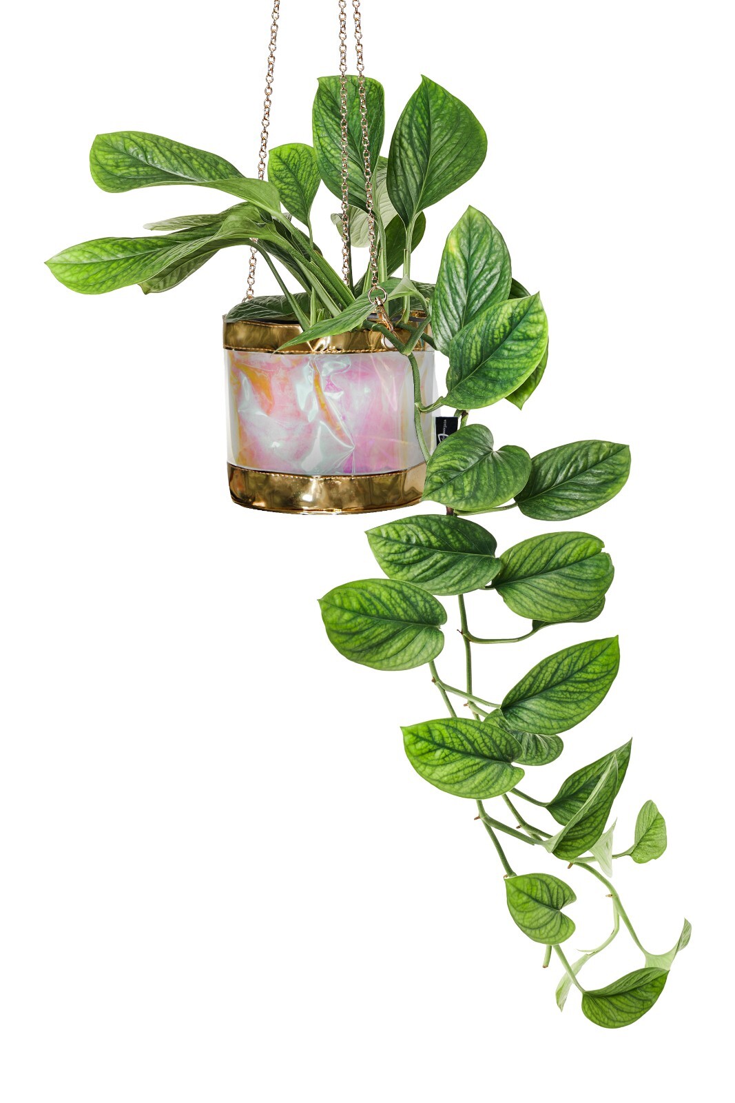 Decorative Flower Pot Cover With Saucer – Plant Basket for Up to 6″ Planter