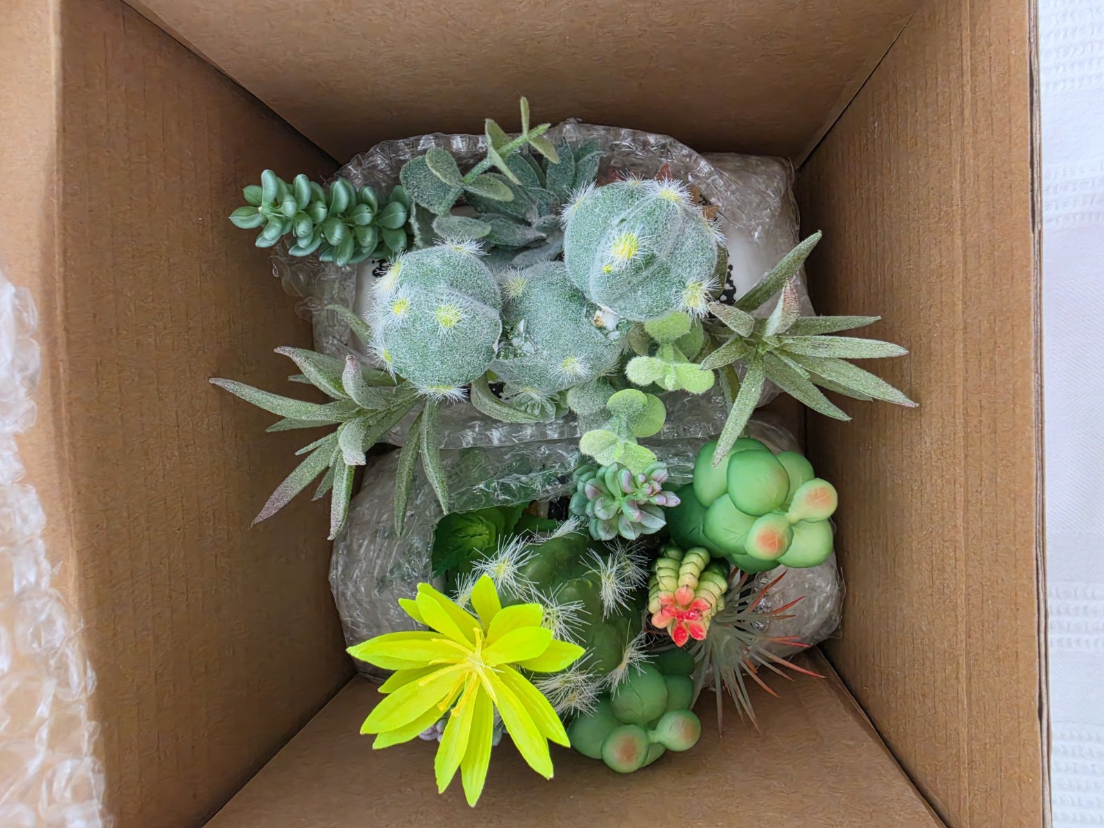 Arnore Florals Artificial Succulent & Cactus Garden Planters Set of 2 4in