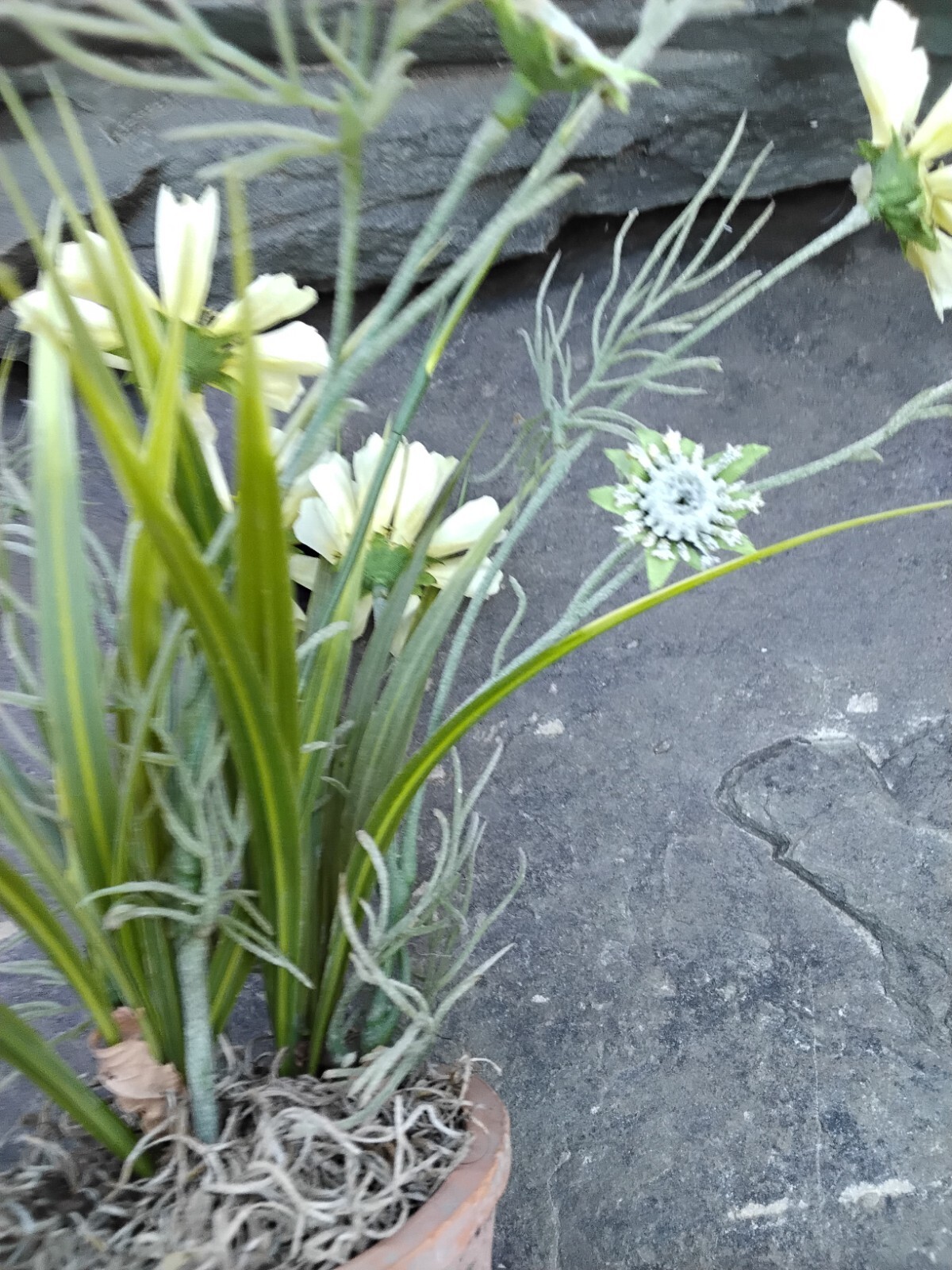 Faux Yellow Spring Flower Plant in Terra Cotta Pot, Daisy, Toplis