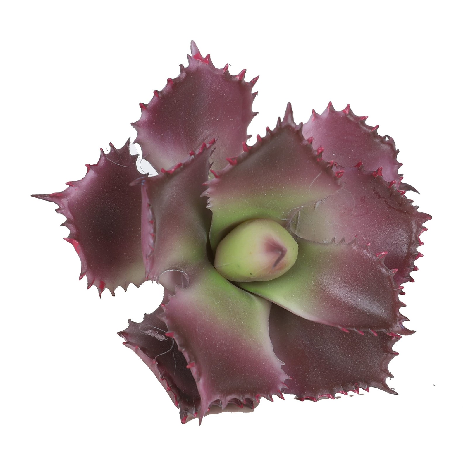 Artificial Succulent Plant 7.08 Inch Faux Succulents Agave potatorum Flower A…