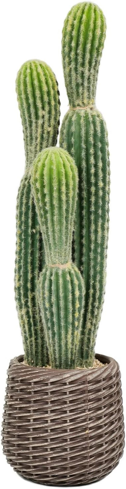 2.5Ft Faux Cactus Plant in Brown Pot for Home, Office, or Garden Decor