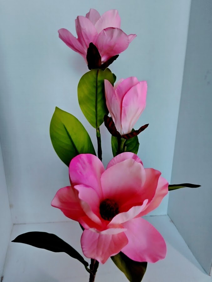 Magnolia stem bush PINK