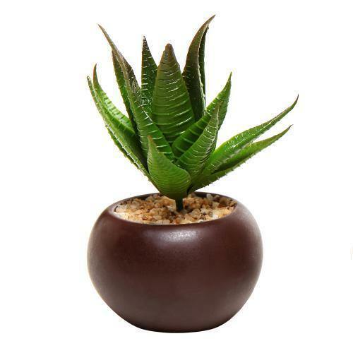 Decorative Potted Artificial Mini Succulent Plants in Brown Planter, Set of 3