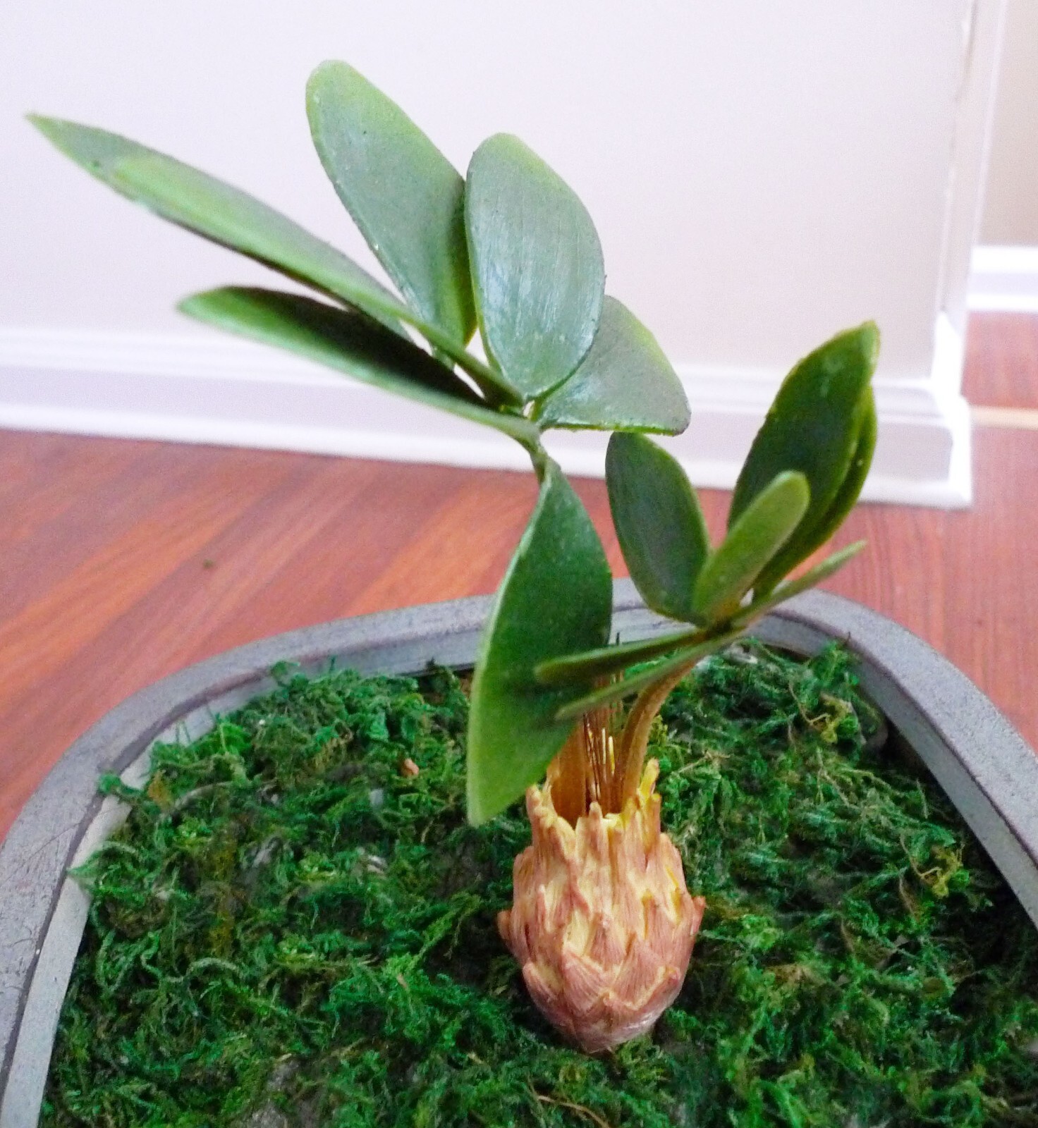 3 oz (85g) Artificial Plant Moss DIY Fake Plastic Flower Garden Micro Landscape