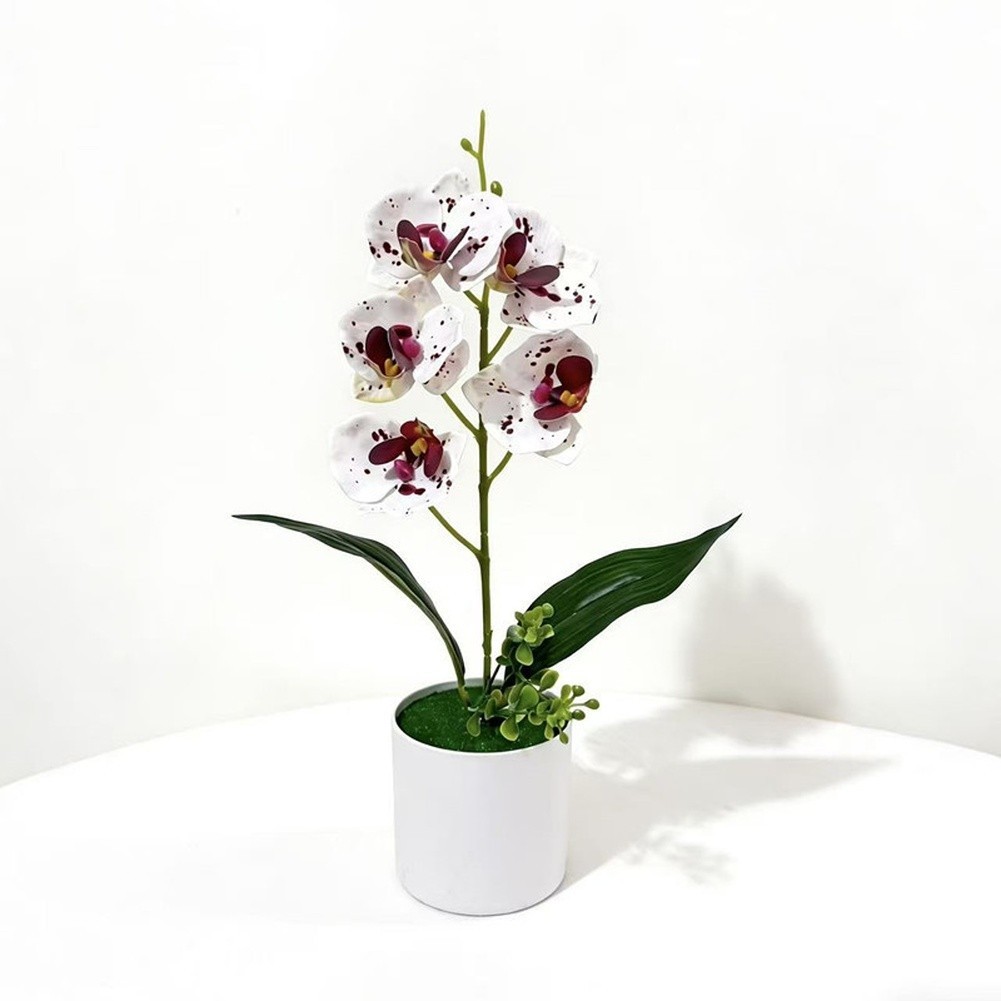 White Yellow Purple Blue Phalaenopsis Orchid Arrangement for Indoor Desk Decor