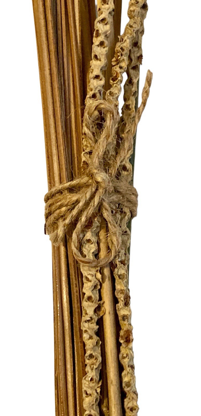 Boho Dried Flower Arrangements 2 Bunches Palm Spears Eucalyptus Seed Pods Decor