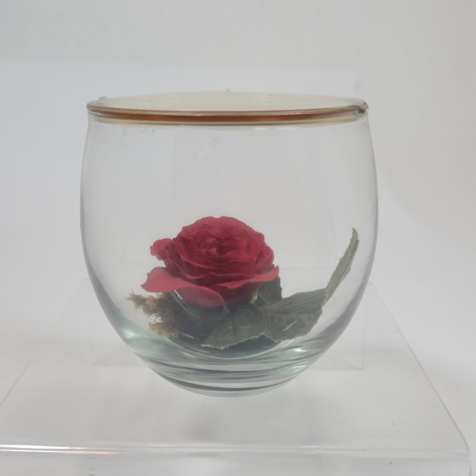 Valentine’s Day Preserved Roses Red Roses Preserved Flower Rose Gift in Glass