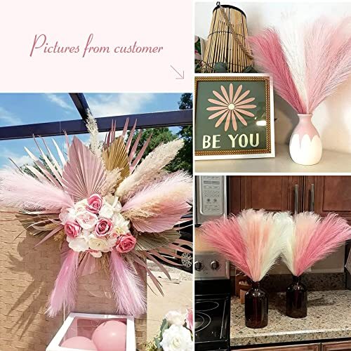 Serwalin Pampas Grass Pink Decor 17.7 Inch 17 Inch 6 Pcs A Blush & Cream & Pink