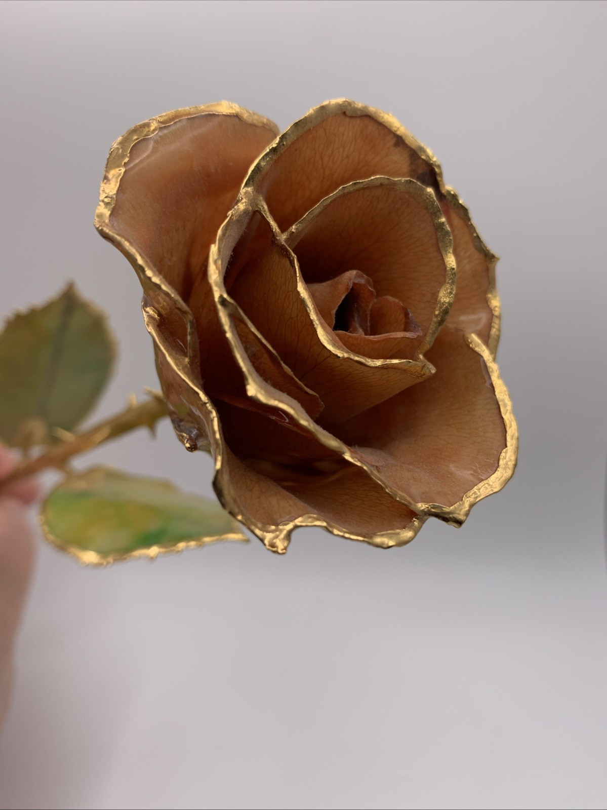 Real Rose Lacquer Dipped 24 Karat Gold Trim Lite Pink/Orange 11.5” With Vase