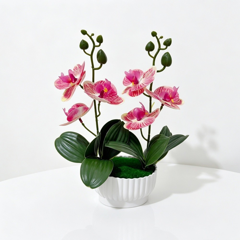 Imitation Orchid Plant with 6 Blooms 6 Leaves in Pot 26cm Indoor Decor