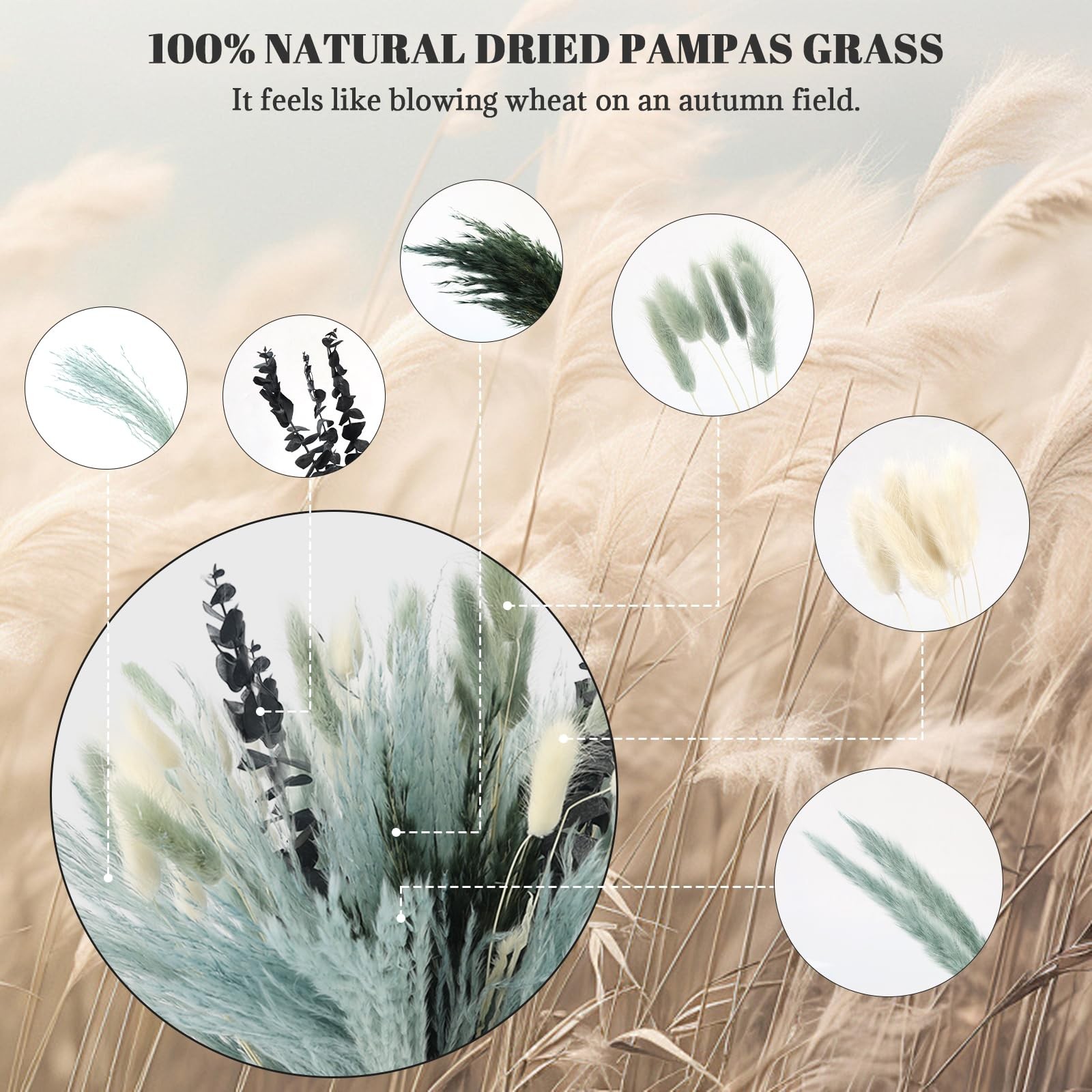 NT NETING 100Pcs Grey Pampas Grass Decor Natural Dried – Gray Pampas Grass Bu…