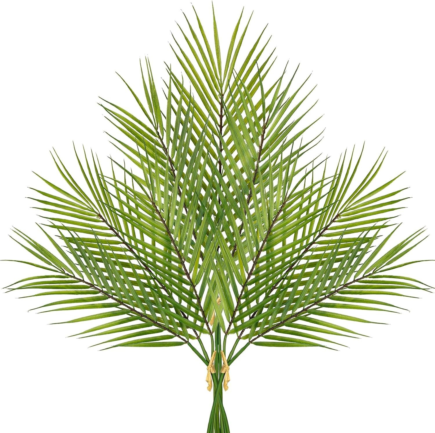 Durable & Realistic 26” Palm Fronds – Perfect for Tropical Home Decor & Events