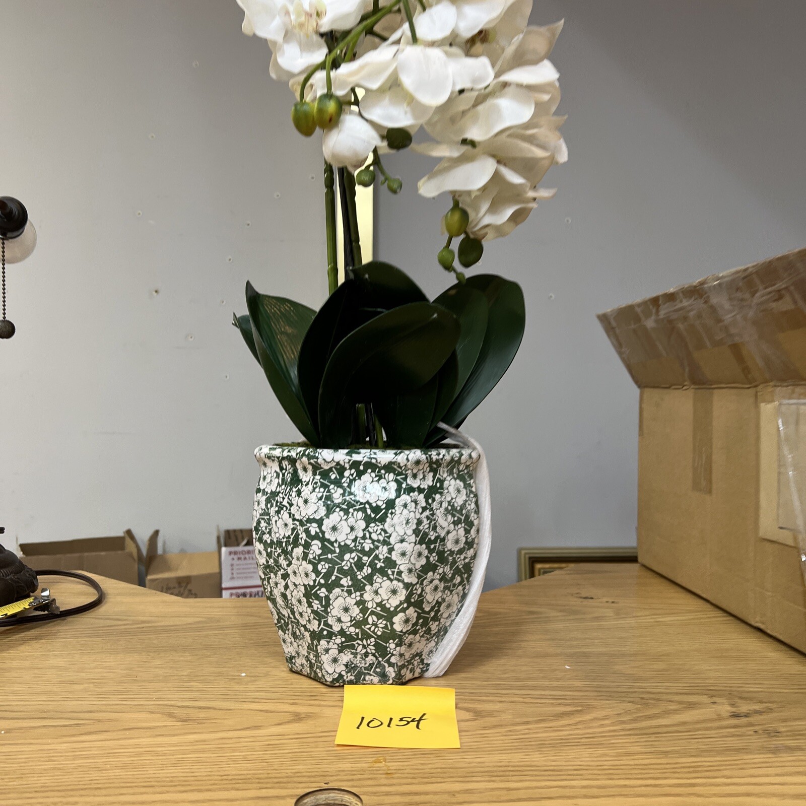 22″ Orchid Green White In Ceramic Pot Planter Valerie Parr Hill
