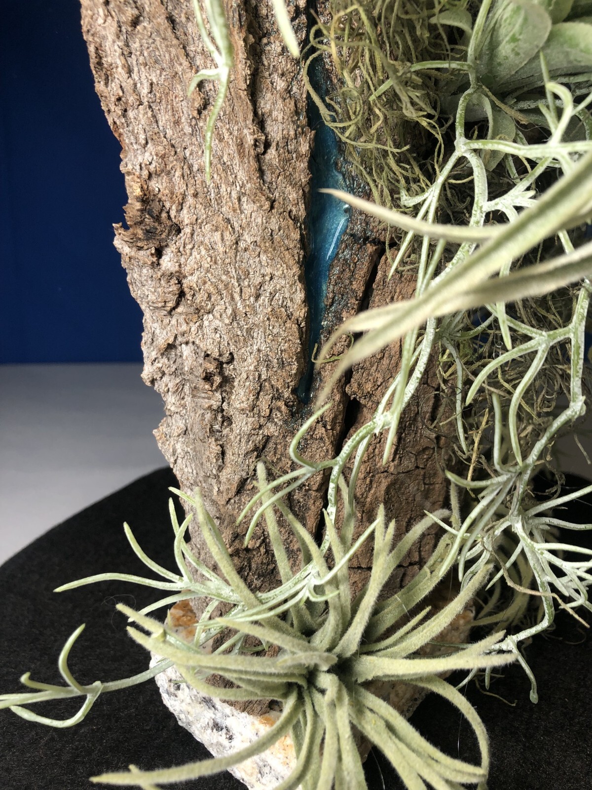 Artificial Succulent Air Plant Home Office Mounted on Real Wood Bark and Stone