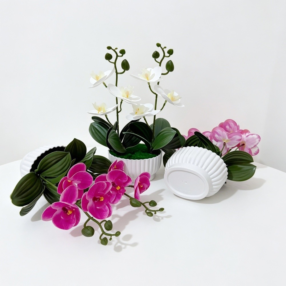 Imitation Orchid Plant with 6 Blooms 6 Leaves in Pot 26cm Indoor Decor