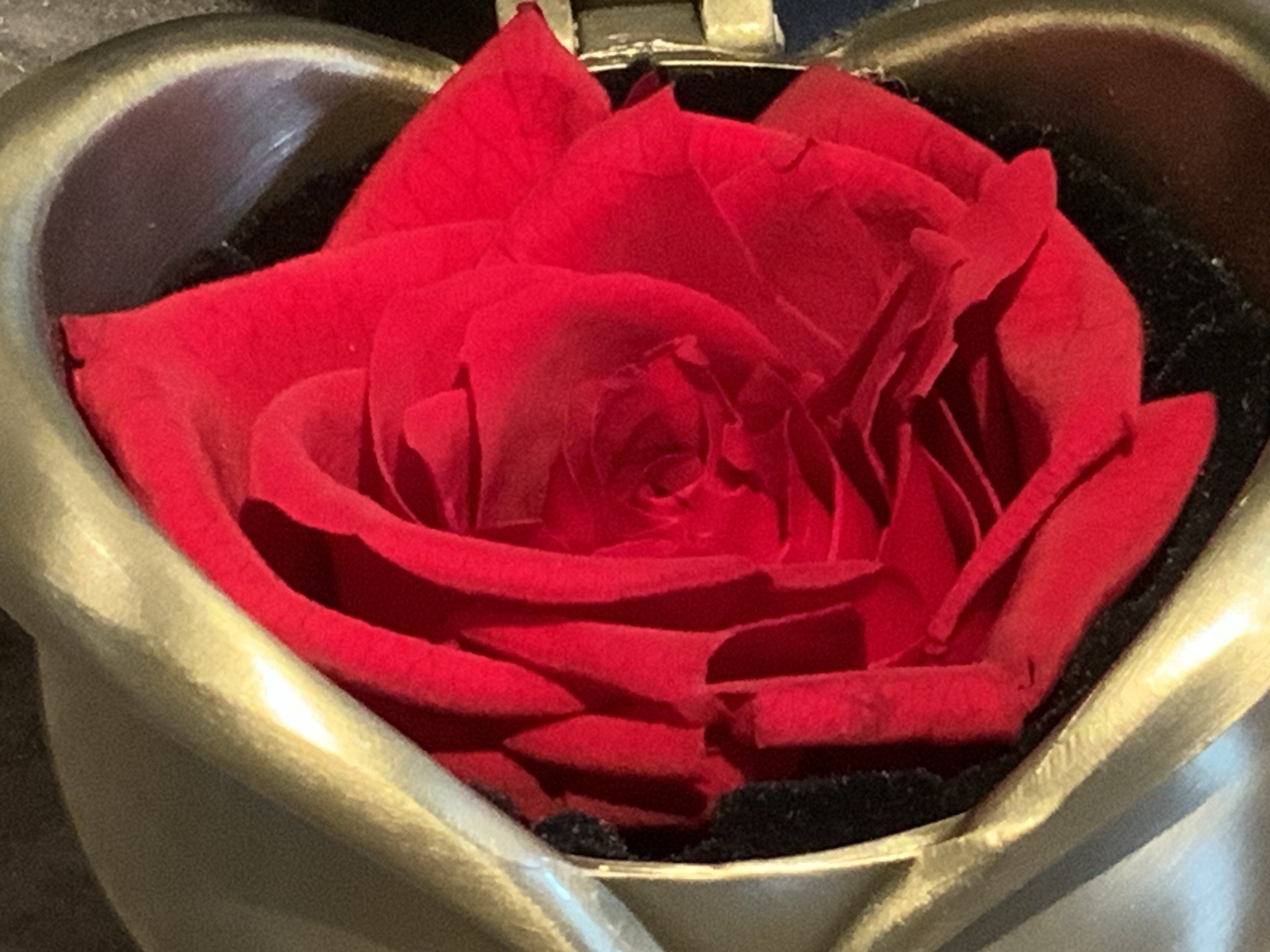 DYstyle Preserved Red Rose in Brushed Metal Gift Box