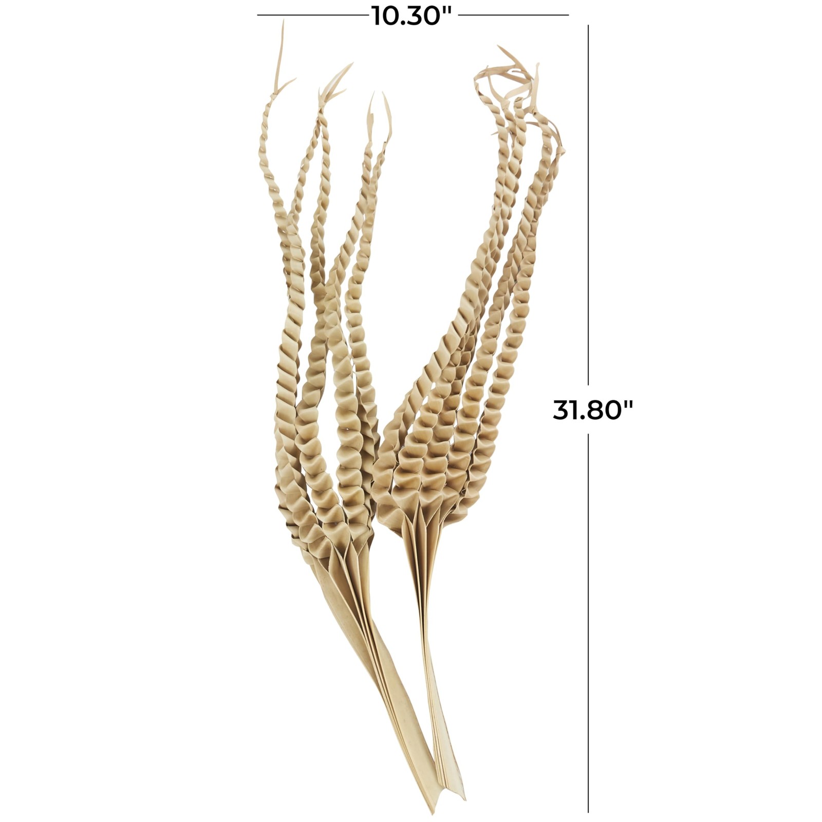 Dried Plant Palm Leaf Handmade Tall Five Finger Natural Foliage, 10″ x 4″ x 3…