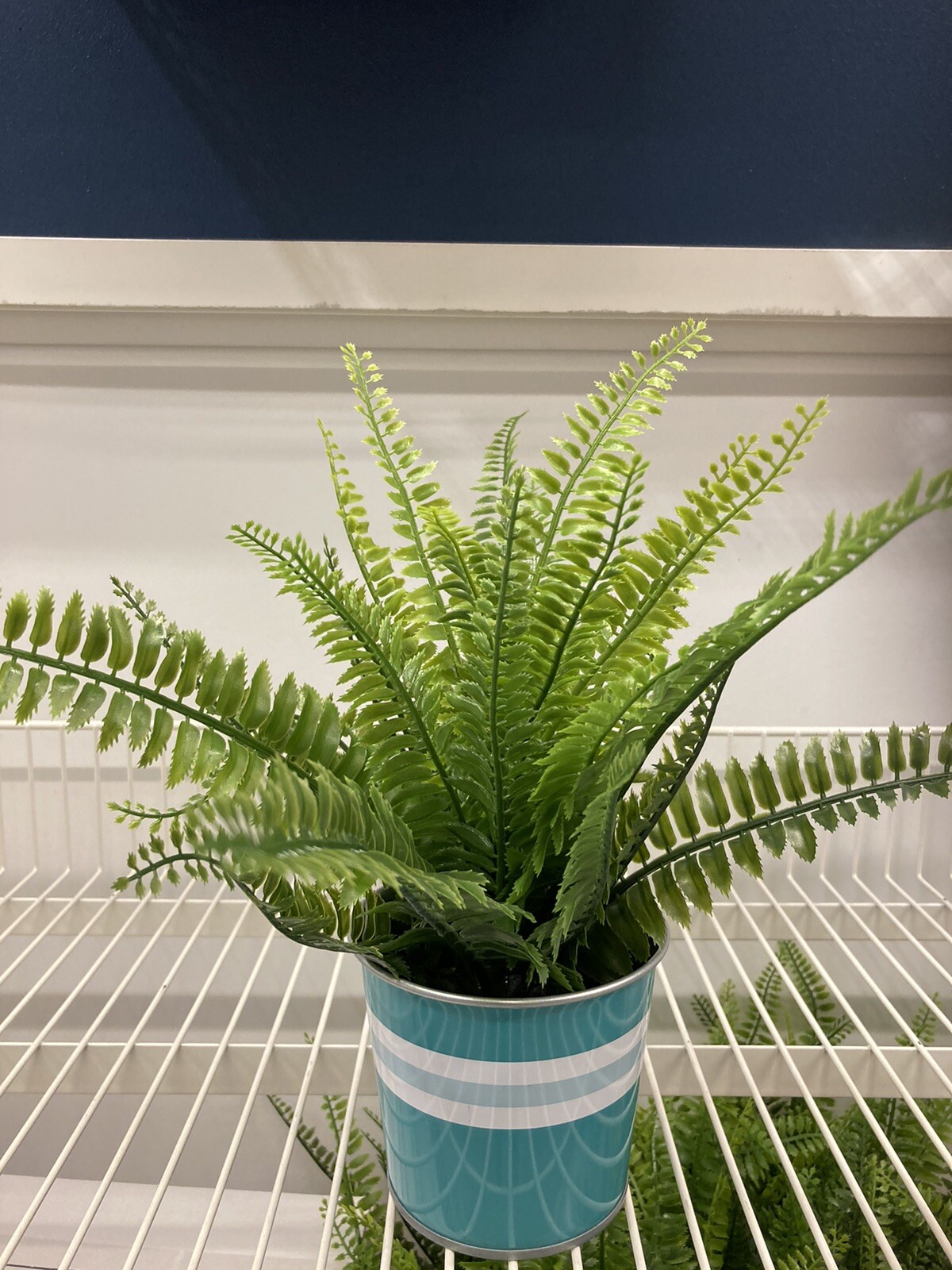 Ikea KAKIPLOMMON Plant pot, indoor/outdoor turquoise, 4 ¼ “