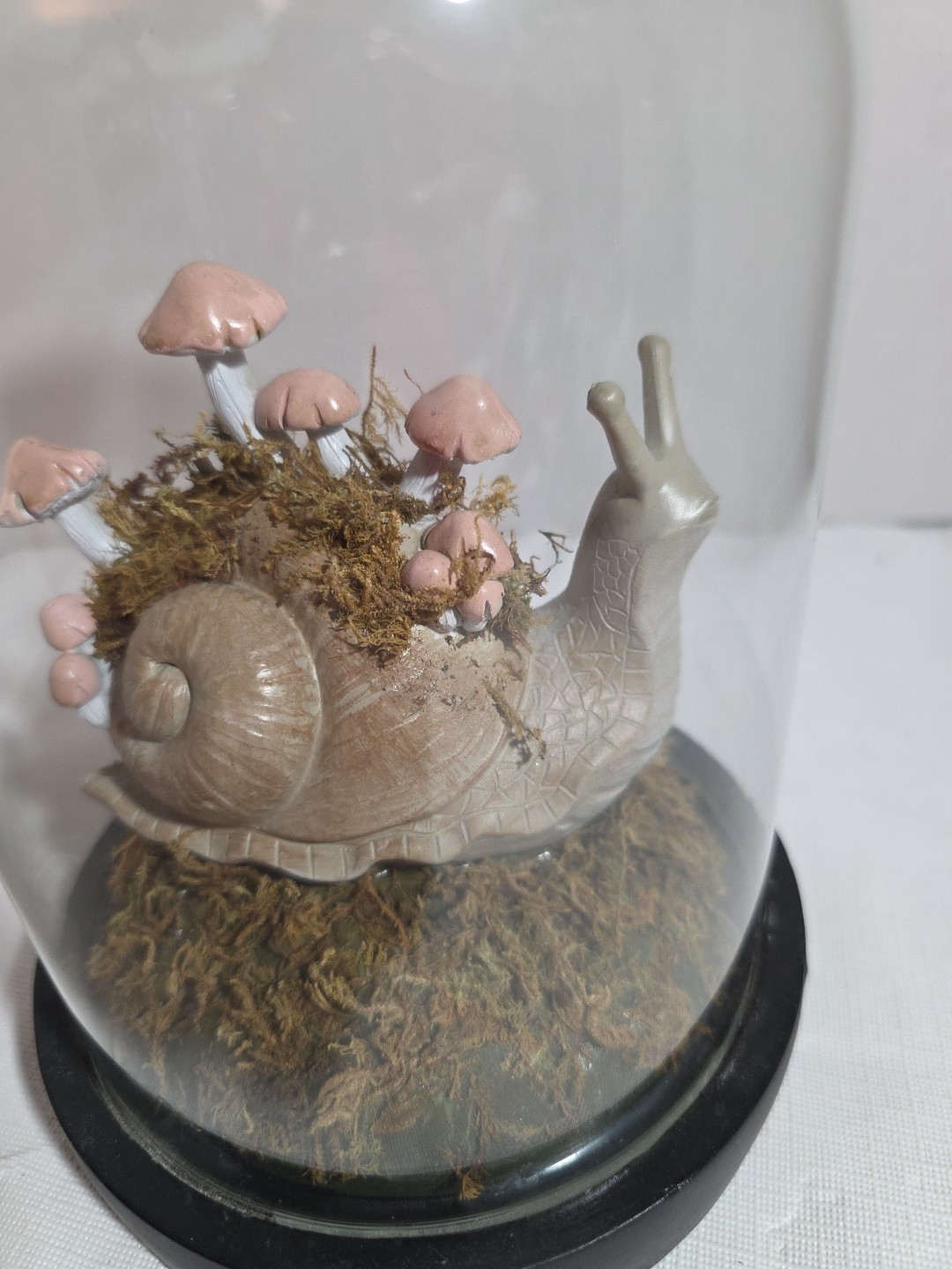 Snail And Mushroom Cloche Terrarium Glass Dome Curiosity Cottage Core