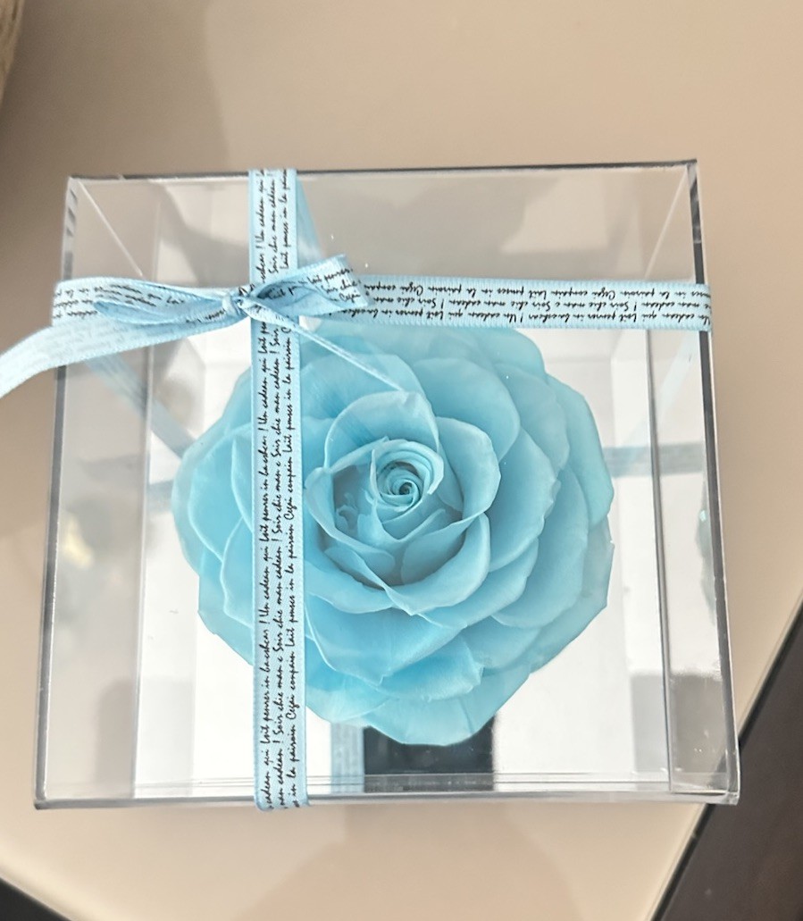 Eternal Rose Gift for Women, Preserved Real Forever Rose Flowers in Clear Case