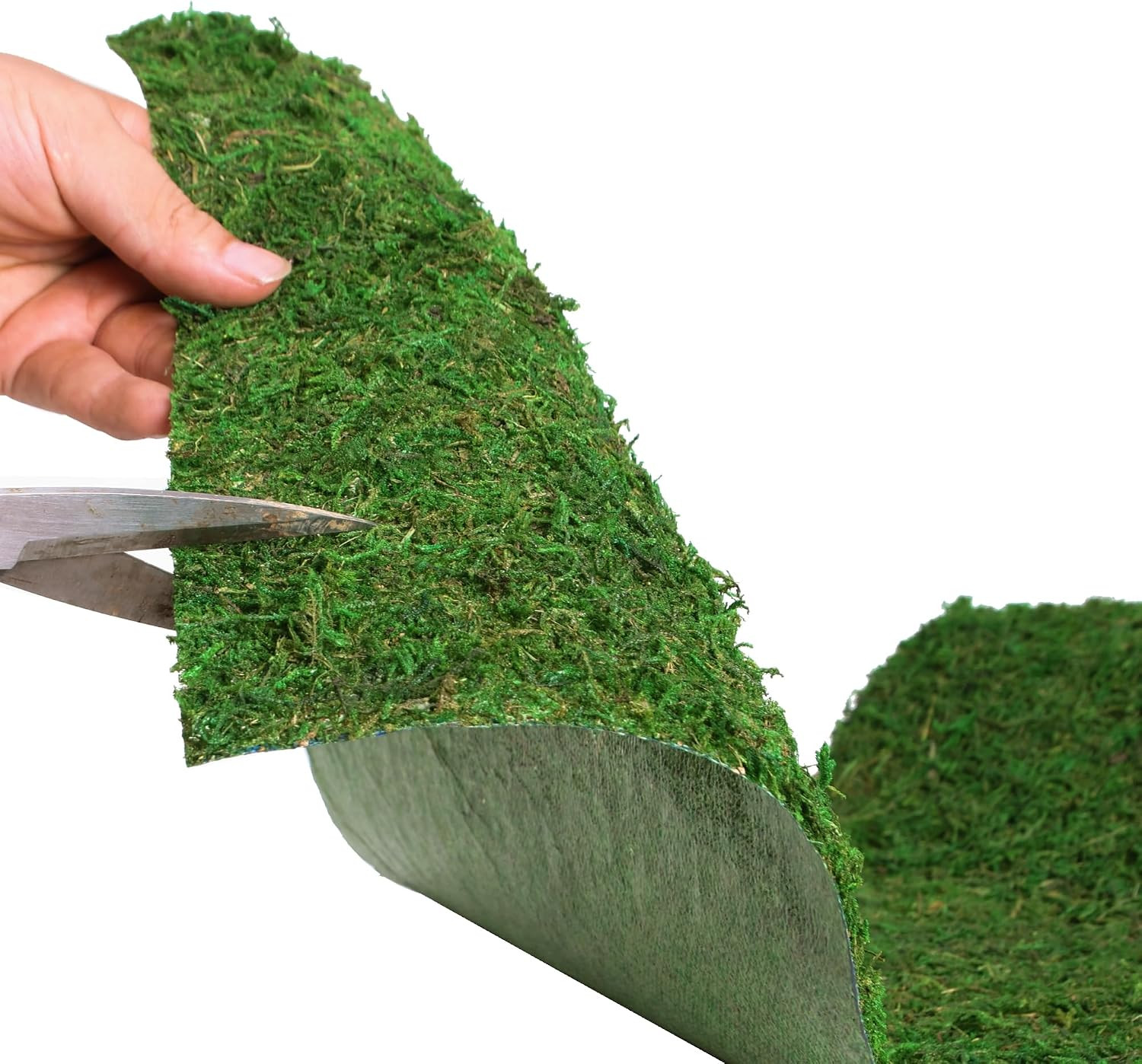 USMOLA Moss Roll, Dried Moss for Crafts, Moss Table Runner for Fairy Gardens, We