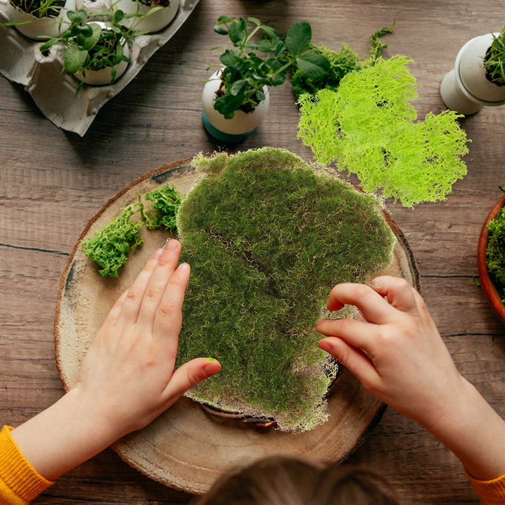 Micro Landscape Accessory Artificial Moss for Crafting Terrace Decoration