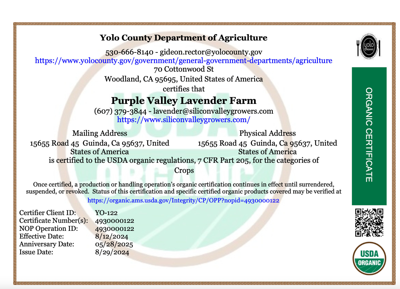 1 Bunch Dried Lavender Flower Bouquet Gift Certified Organic Farm CA