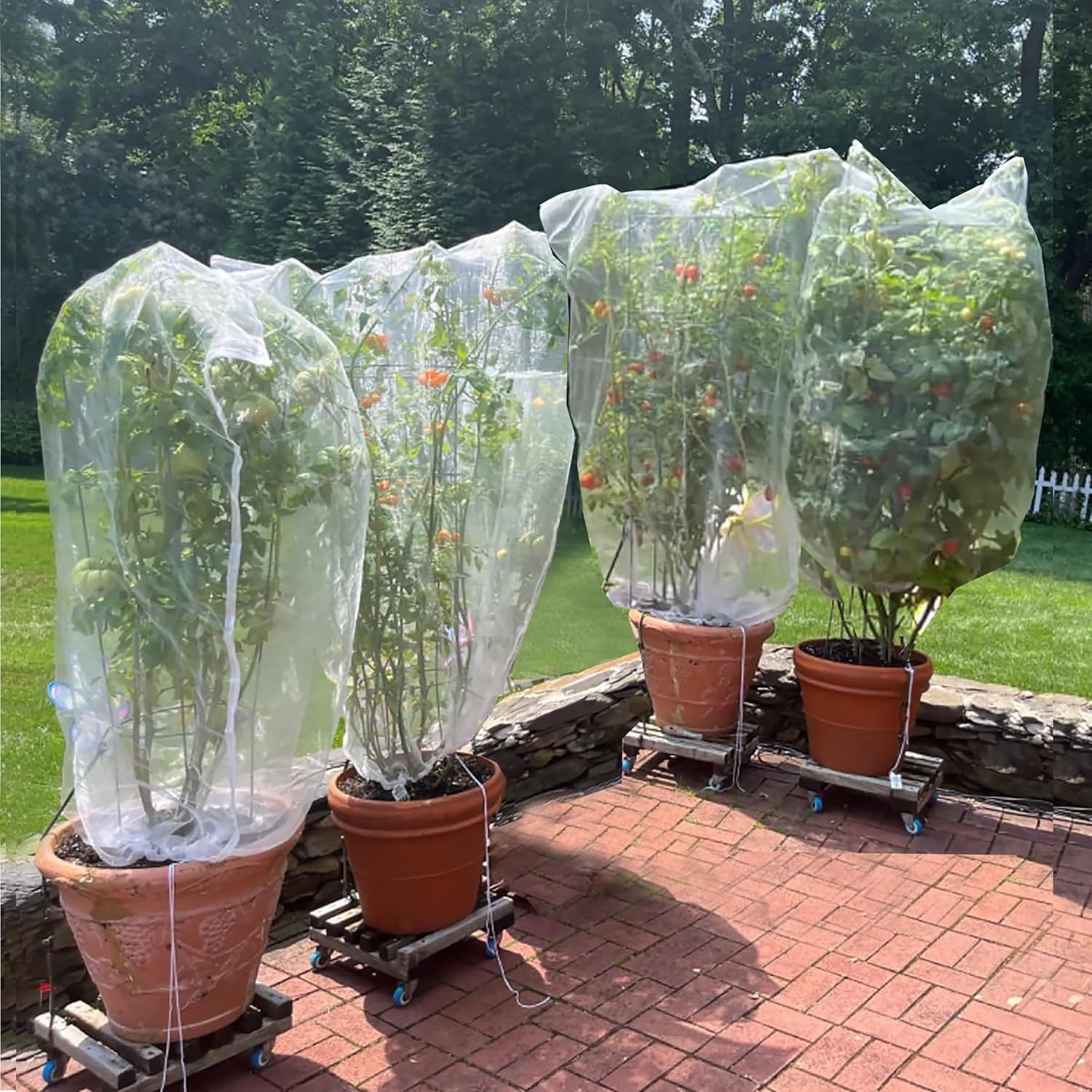 Drawstring Blueberry Netting for Bushes – 3Pack 3.28 * 2.62+ 3Pack 4.92 * 3.94Ft