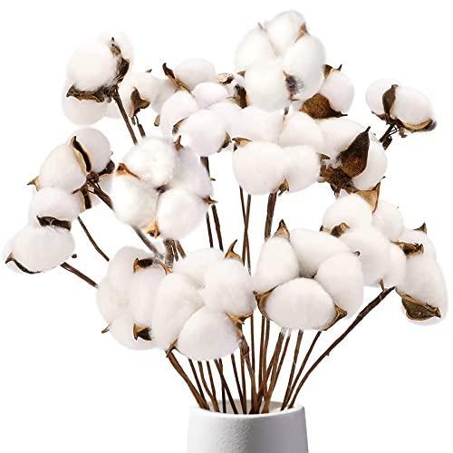 DomeStar Cotton Stems, Natural Dried Cotton 8 Packs Total 15 Bolls Cotton Sprigs