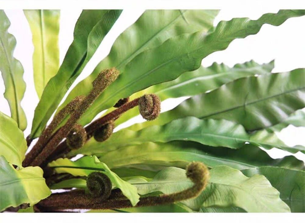 2Pcs Artificial Fern Green Plant Bird’s-nest Fern Asplenium Nidus Faux Silk T…