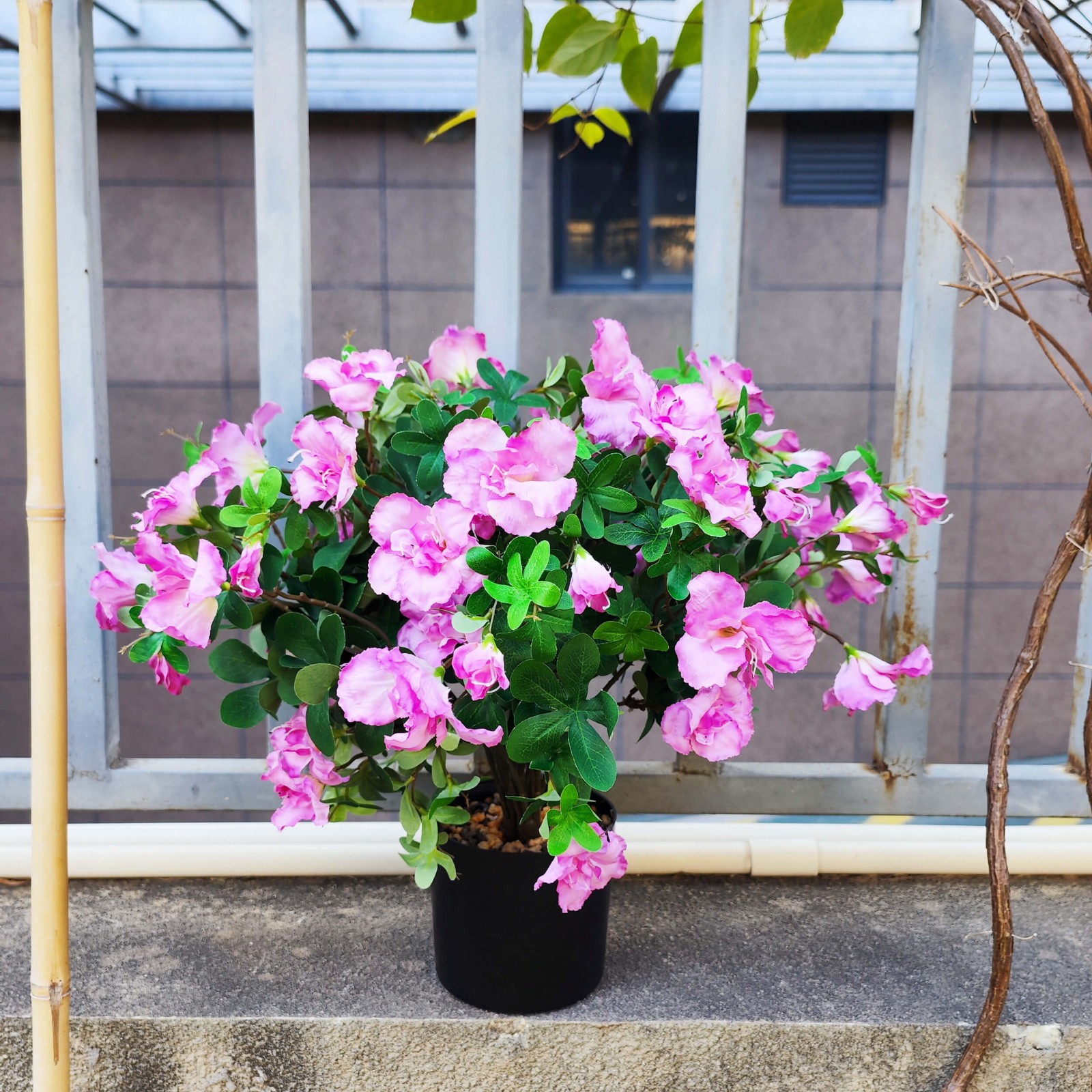 48 Large Blooms Artificial Potted Azalea Flowers ,UV Resistant , Realistic Decor