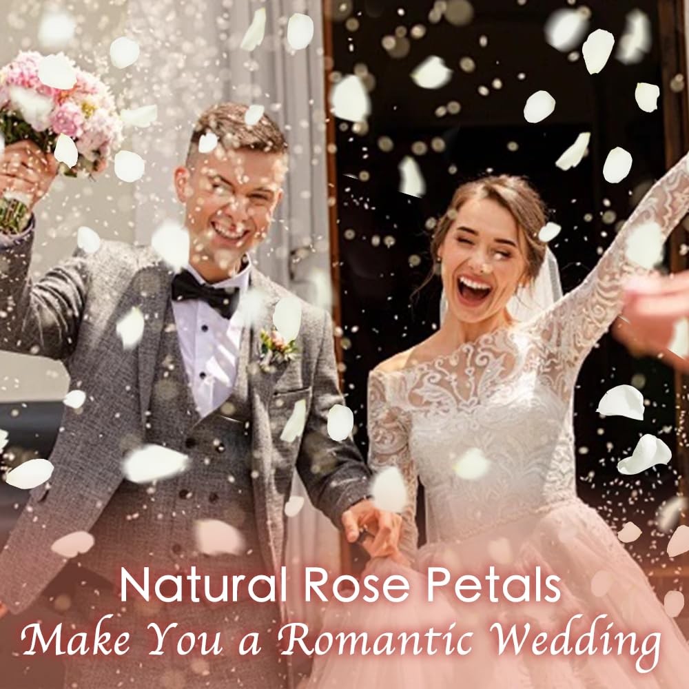 1.75oz Dried Real White Rose Petals Preserved Flower Wedding Valentine Decor