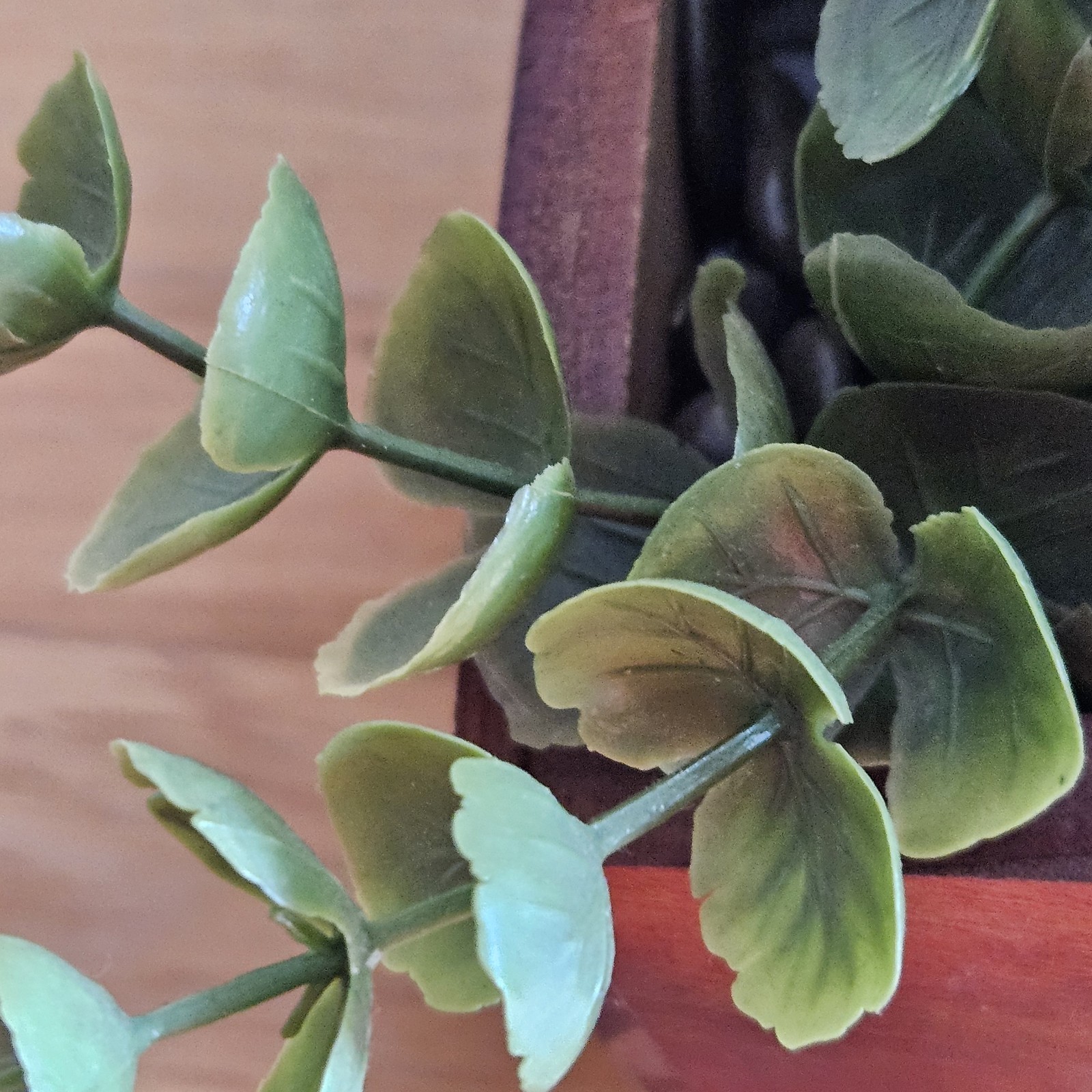 Faux Eucalyptus Boxwood with Cascading Leaves