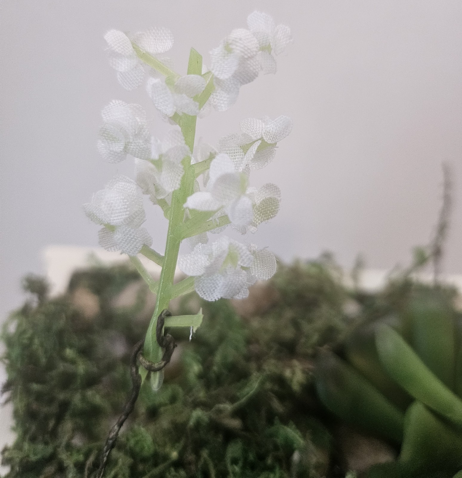 Artificial succulents arrangement(Handmade)