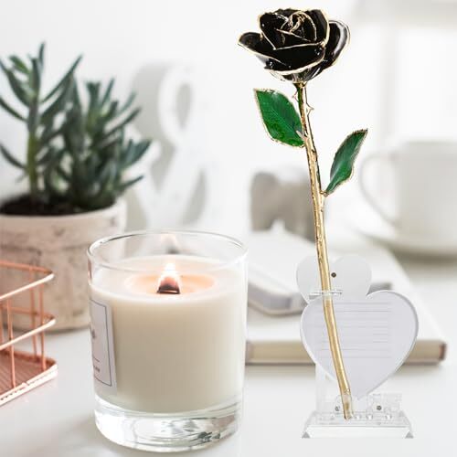 24K Gold Rose Birthday Mother’s Day Valentine’s Day for Mom Daughter Black
