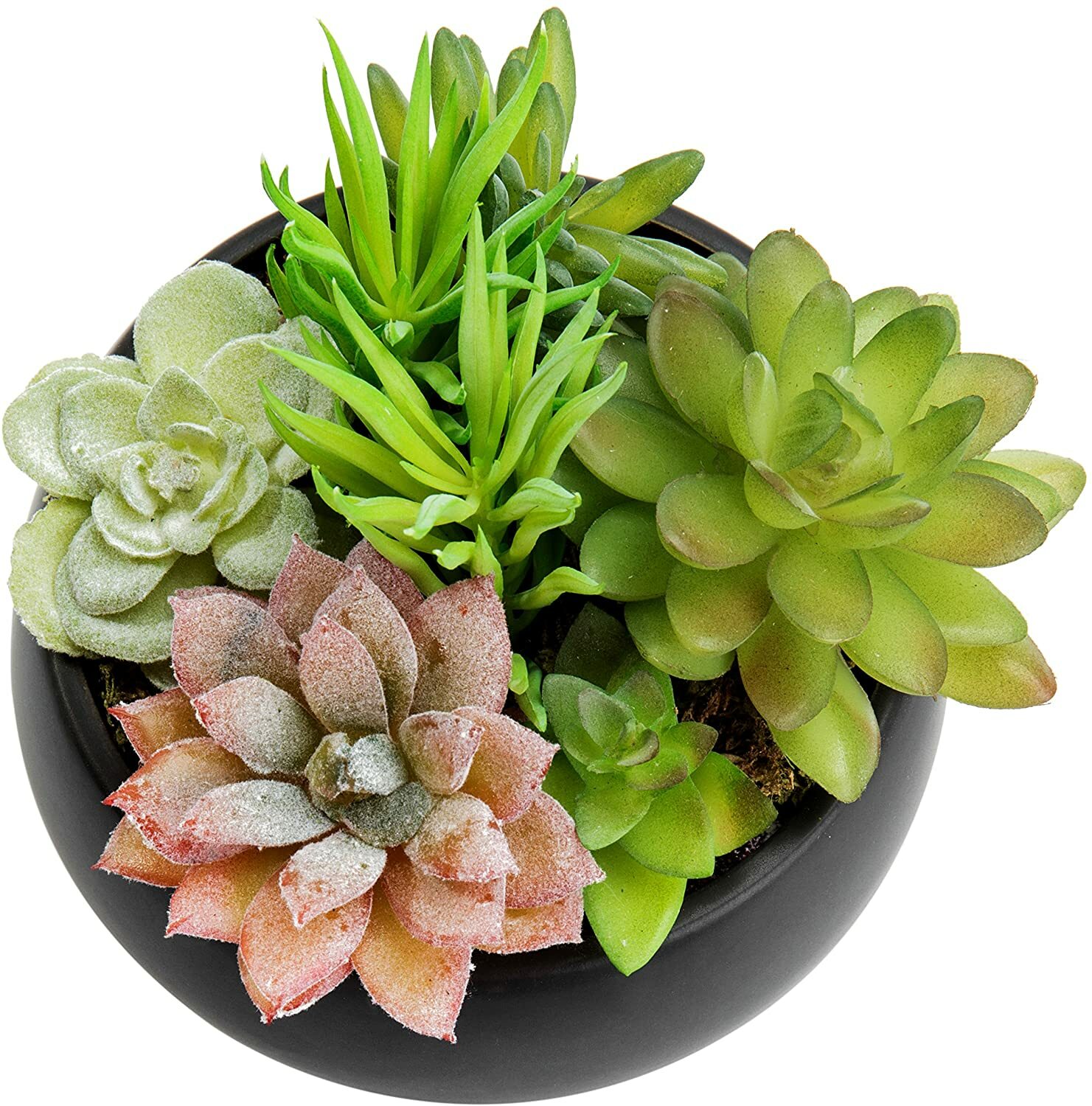Mini Artificial Succulent Arrangement in Black Ceramic Planter Bowl Assortment 3