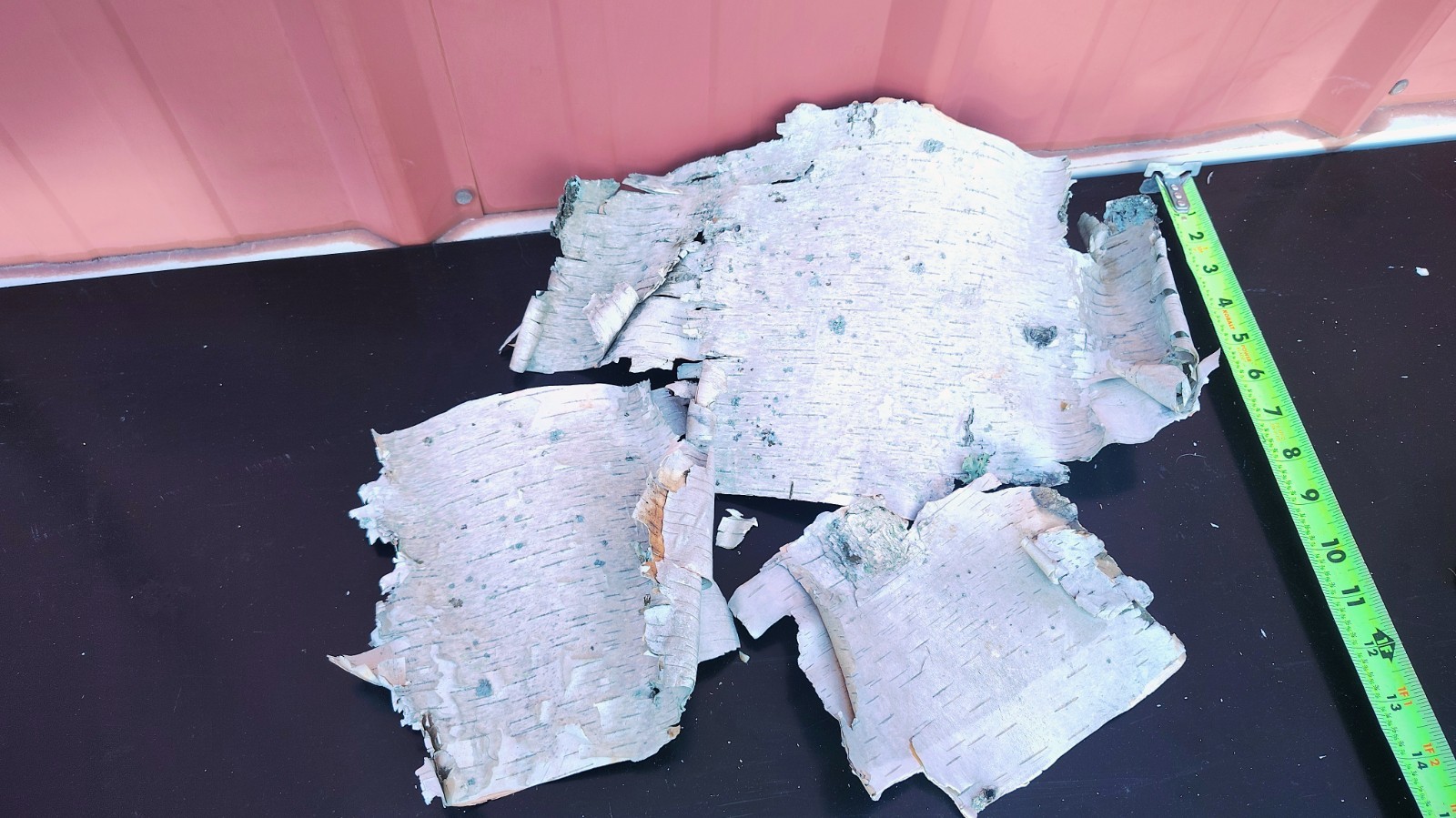 3 pieces 0f Natural White Birch Bark Sheets Crafting Holiday Decor