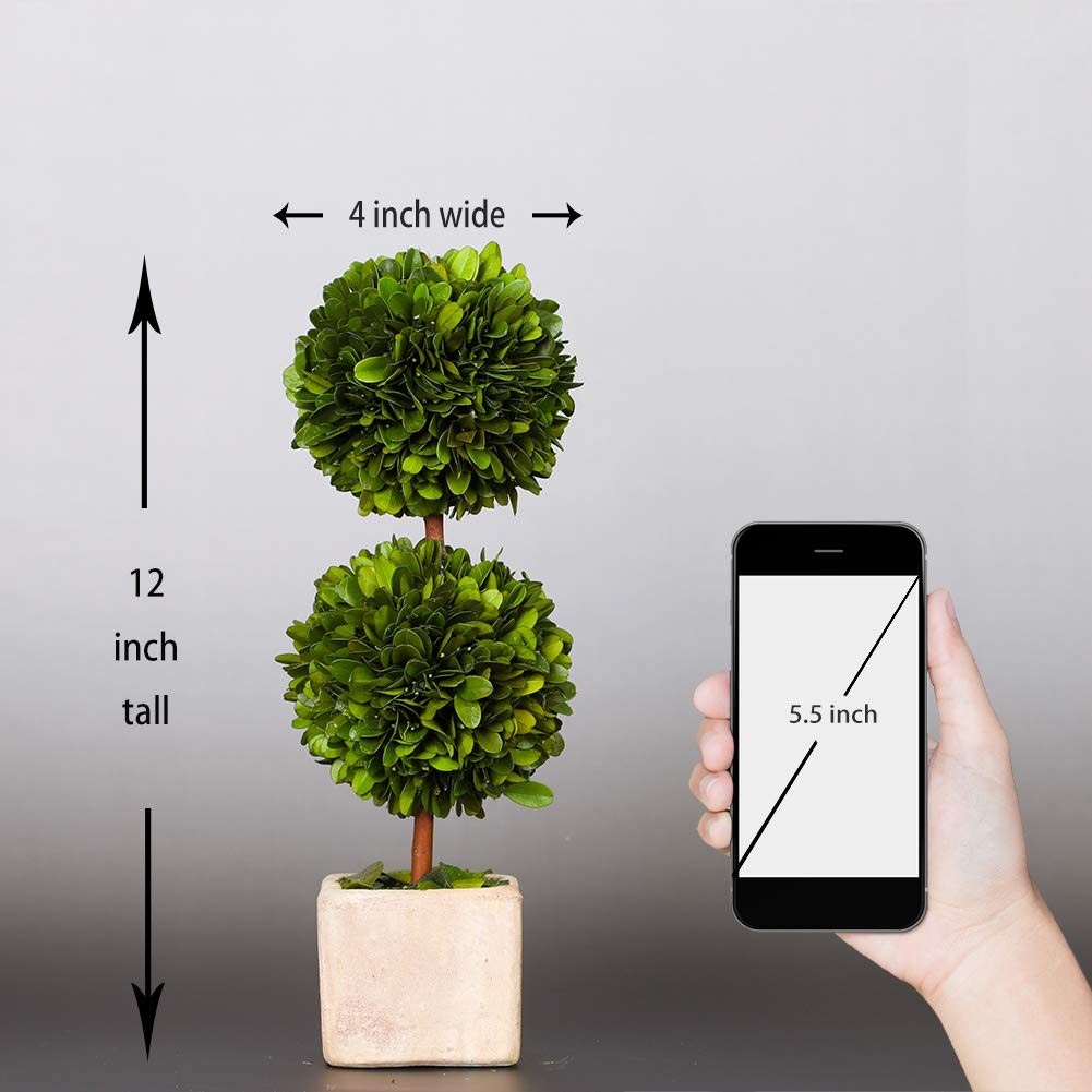 Potted Preserved Boxwood Topiary Green Plant for Home Decor Double Ball Shape 12