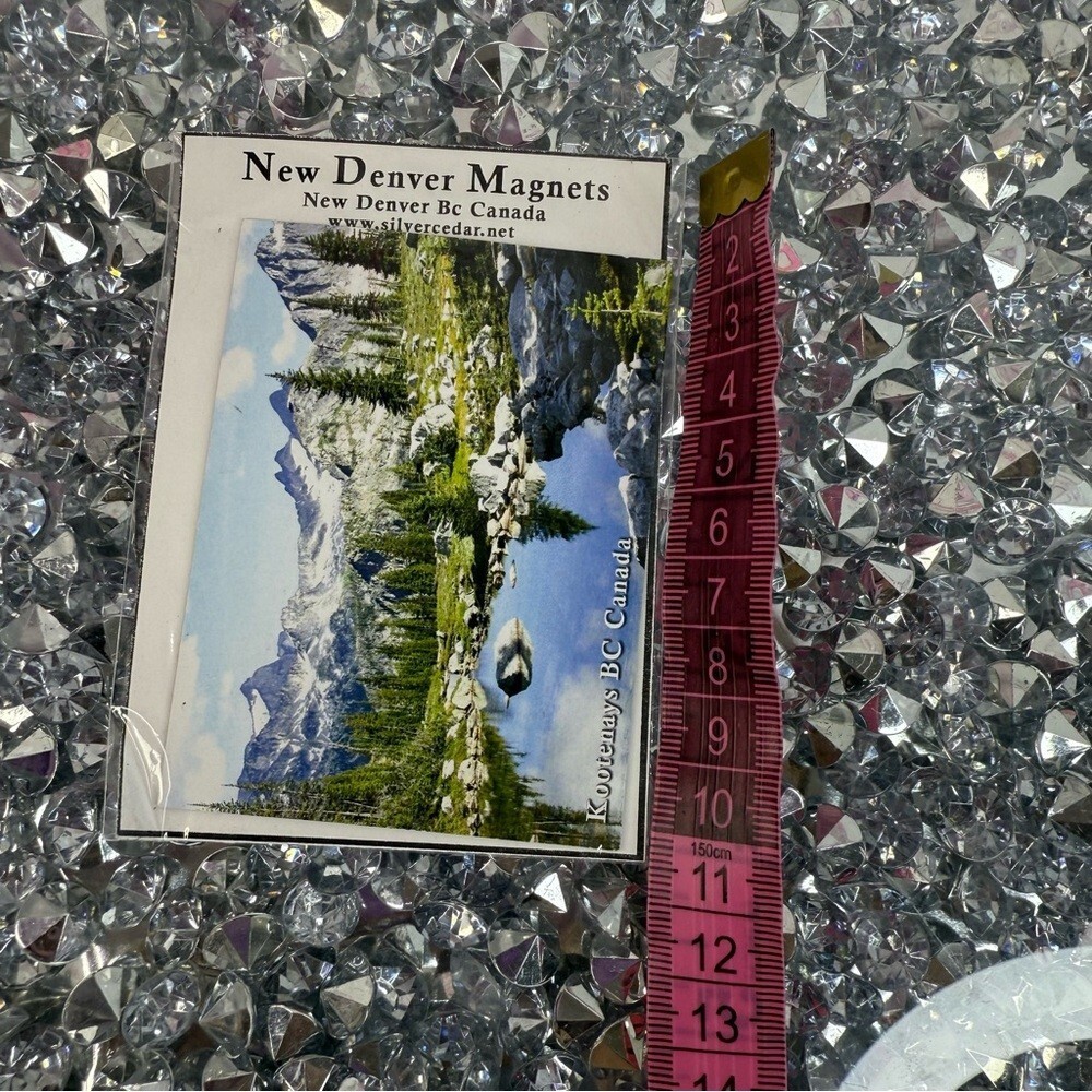 New Denver Magnet Scenic Canada Magnet – Blue & Green BC kootenays Canada