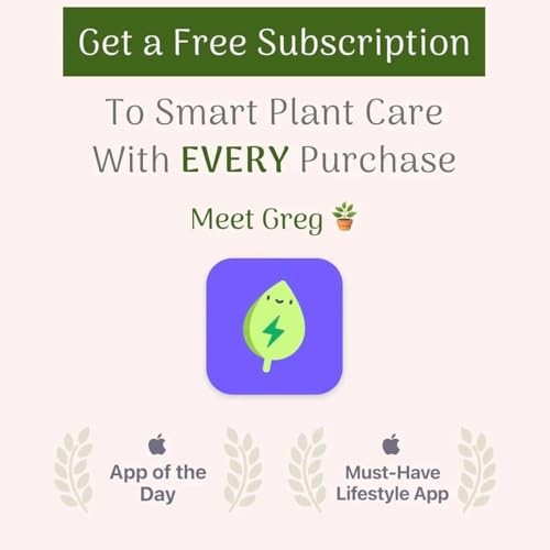 Pothos Pot – Easy-Care Trailing Houseplant, Air-Purifying Vine 4-Inch Golden